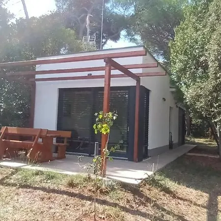 Rosemary Park Zadar