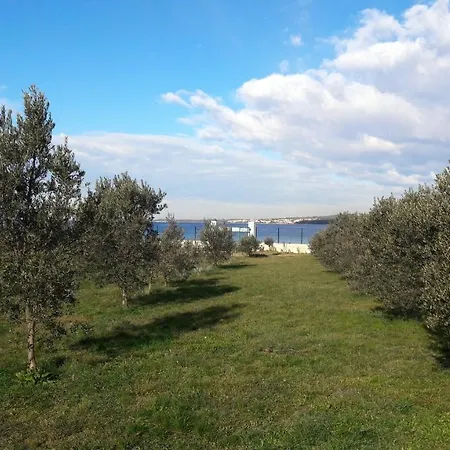 Rosemary Park Willa Zadar