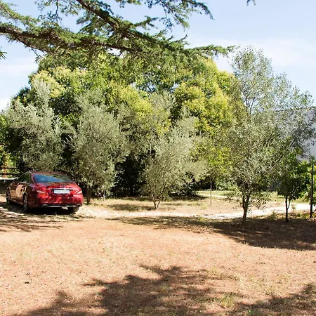 Rosemary Park Zadar